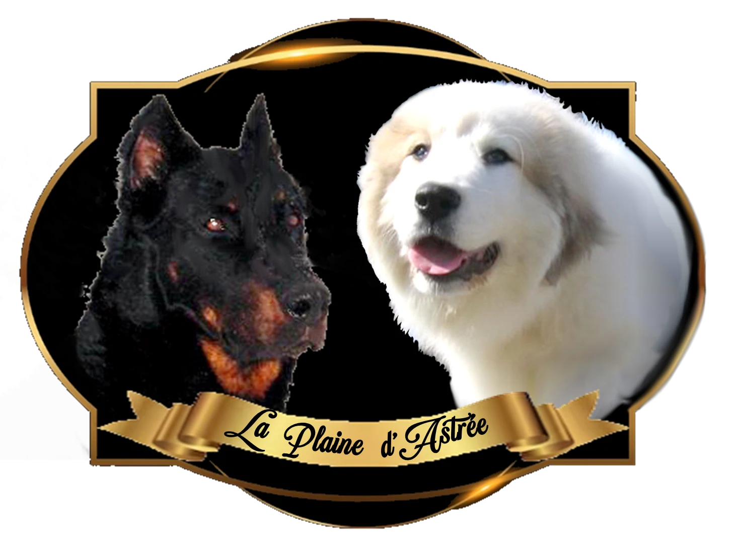 Logo de La Plaine d’Astrée : Beauceron et Patou