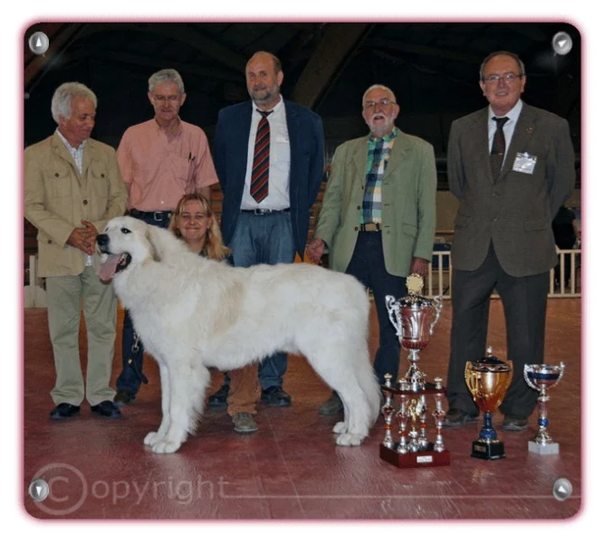 patou floyd de la plaine d'astrée
