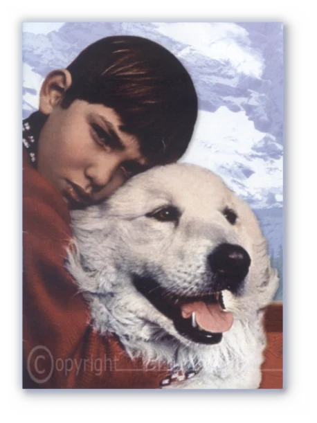 Marie-Raphaëlle Ginon avec un Montagne des Pyrénées